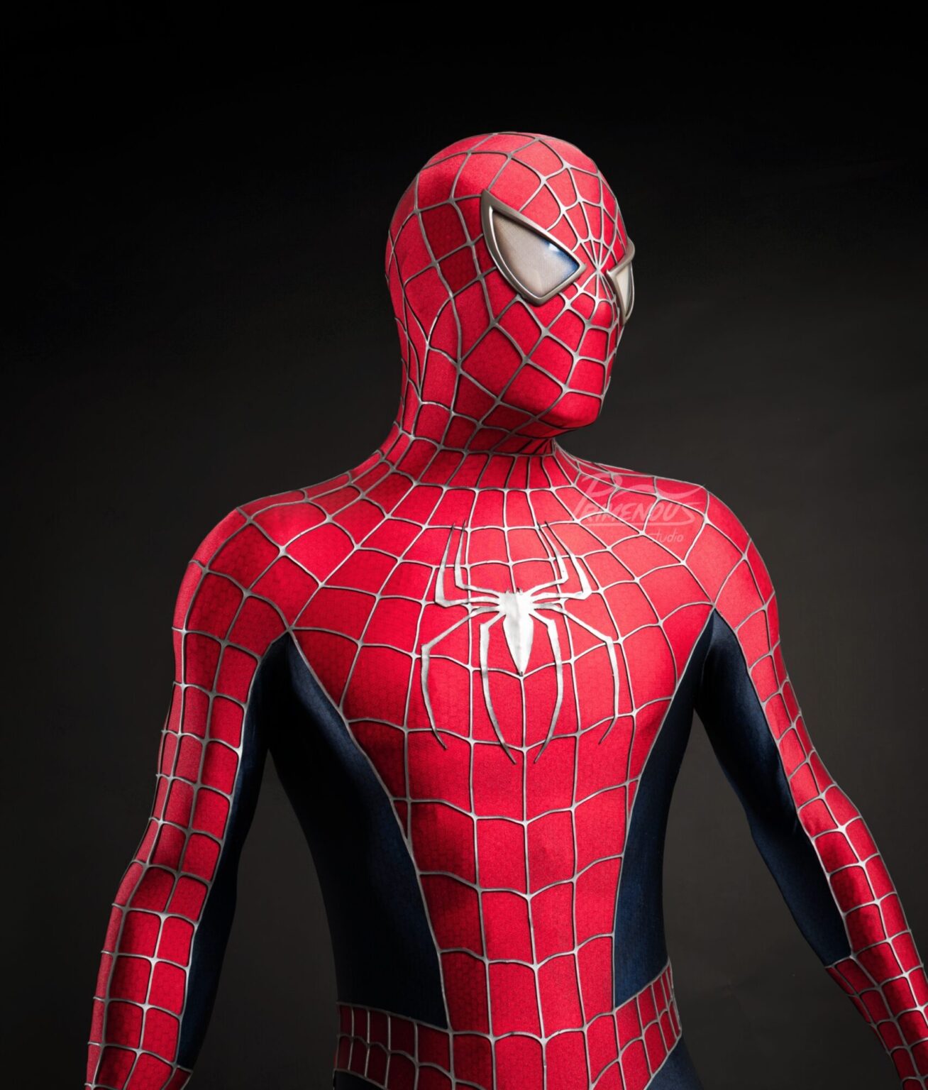 Sam Raimi Tobey Maguire Spiderman Suit – Classic Urethane (Replica ...